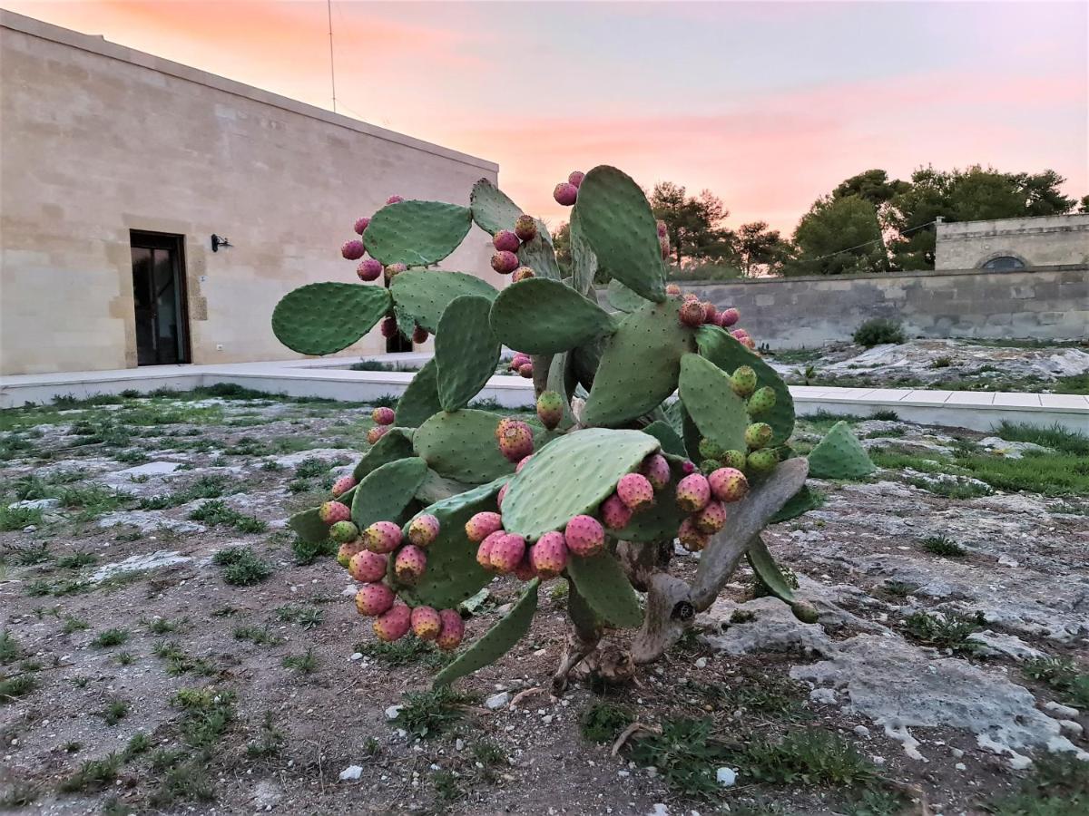 Masseria Specchiulla Otrante Extérieur photo